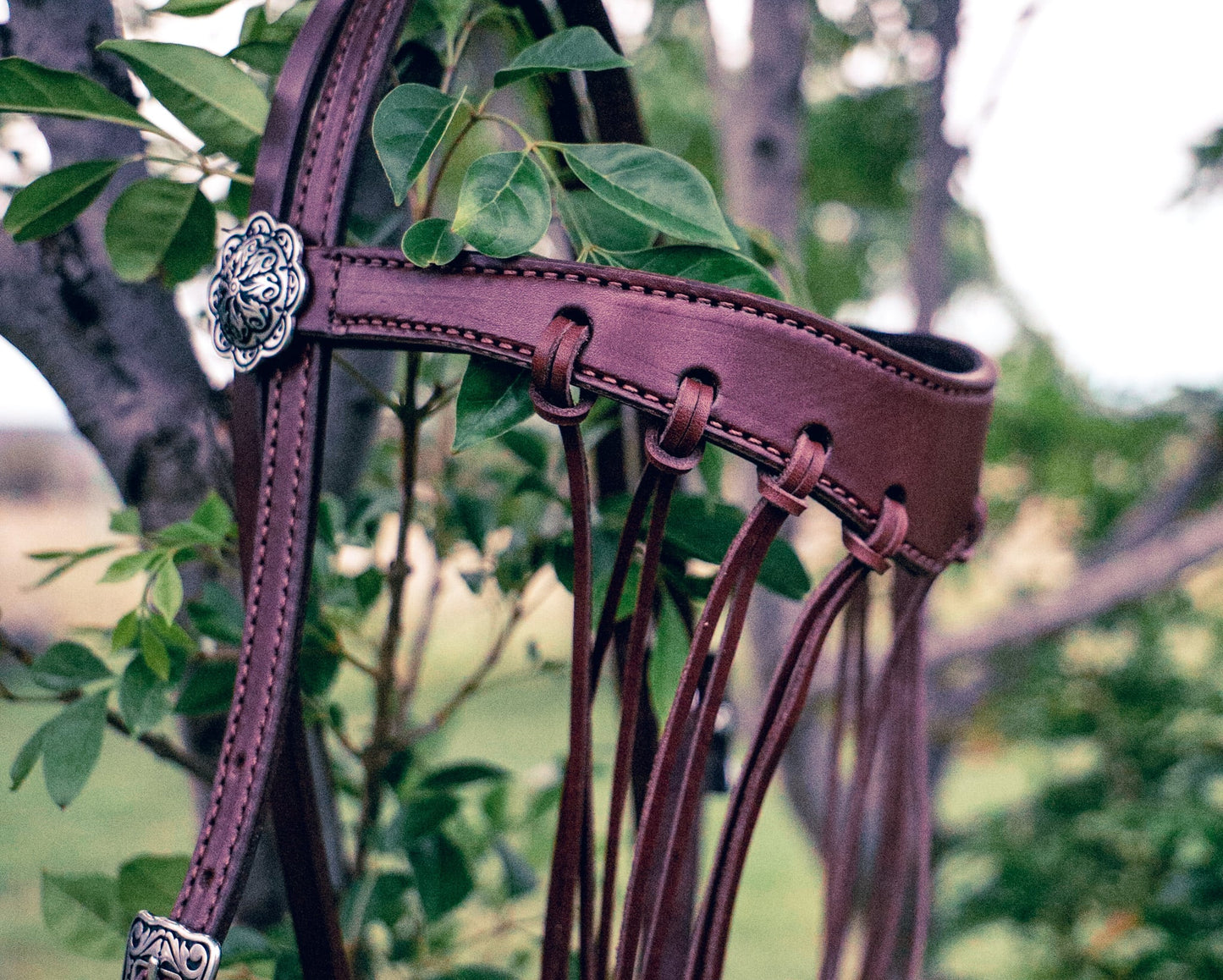 Handmade leather bridle with flyveil browband