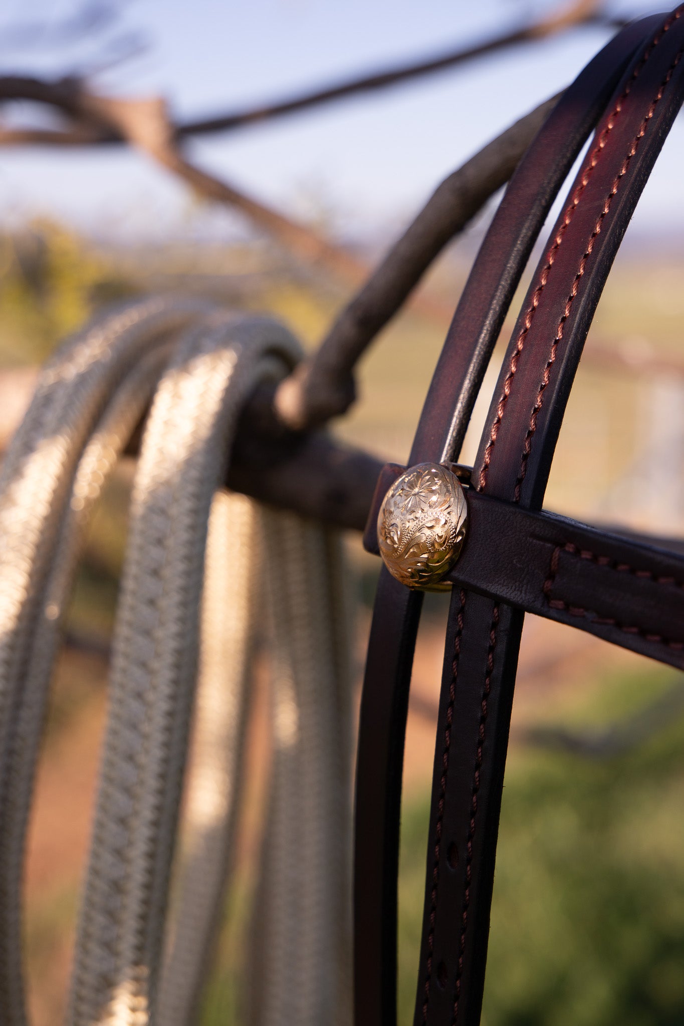 Handmade bridle with drop brow and brass/jew bronze hardware