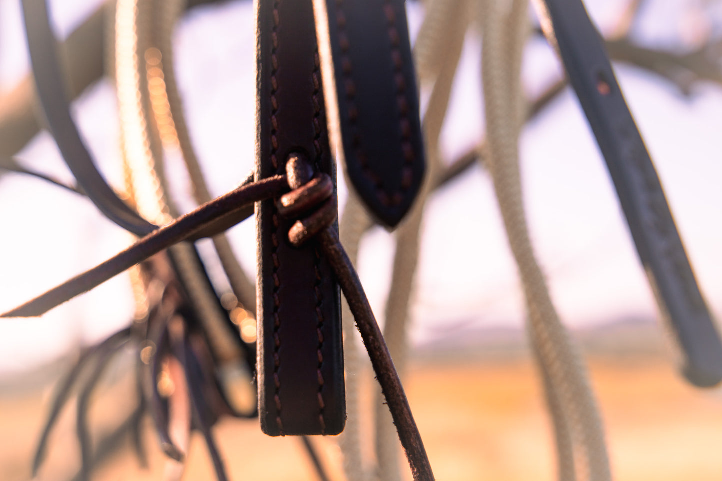 Handmade bridle with drop brow and brass/jew bronze hardware