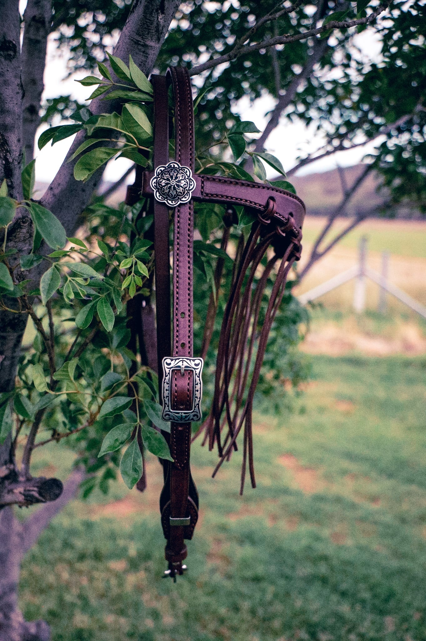 Handmade leather bridle with flyveil browband