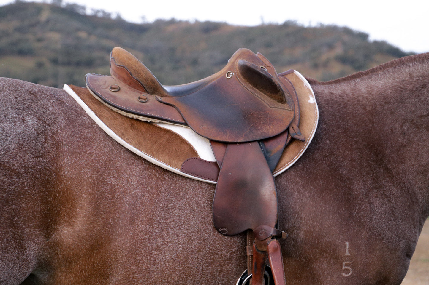 Hair on hide contoured spine, shaped fender pad - 13mm or 18mm felt - choice of hides and felt colour