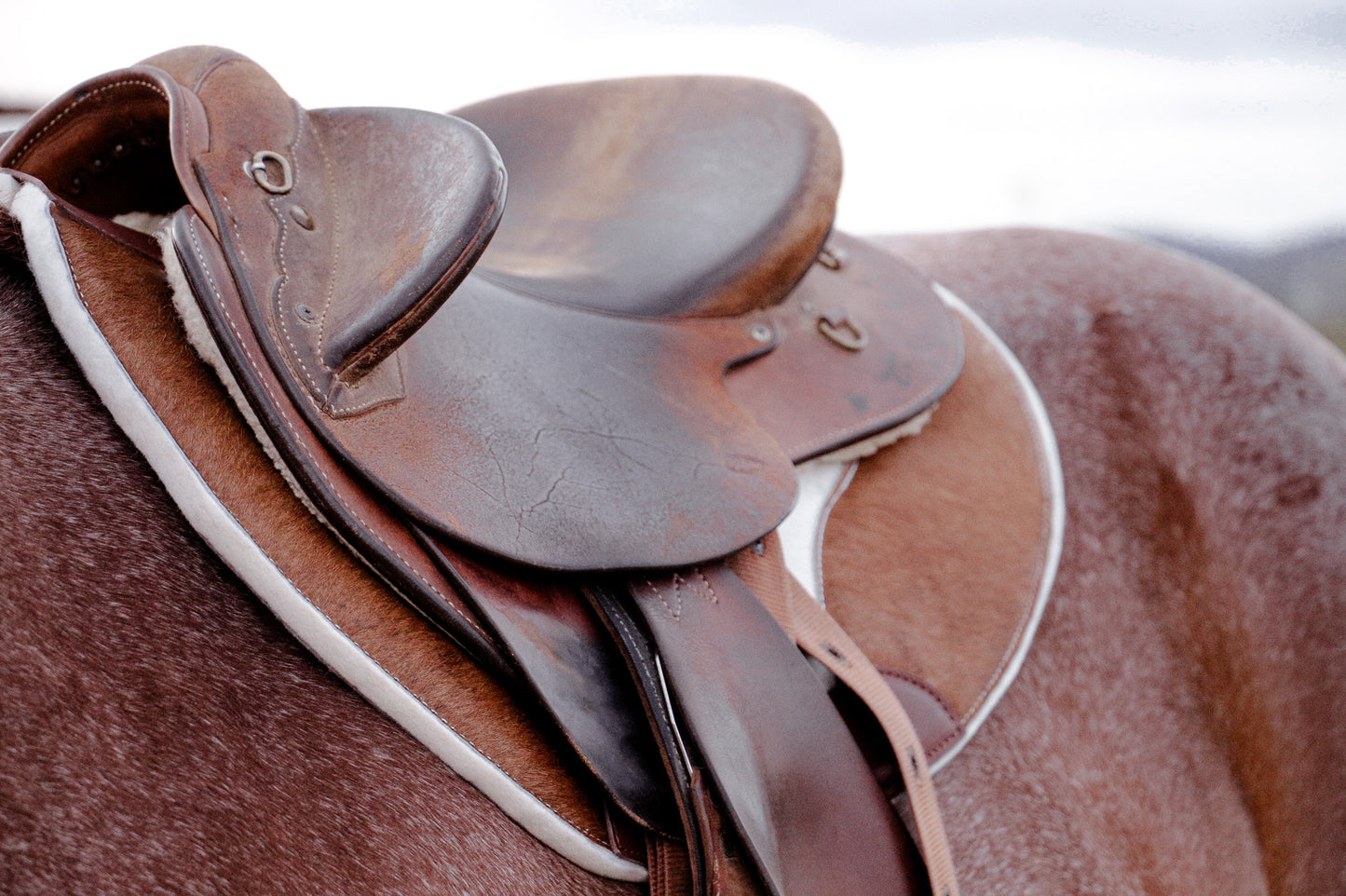 Hair on hide contoured spine, shaped fender pad - 13mm or 18mm felt - choice of hides and felt colour