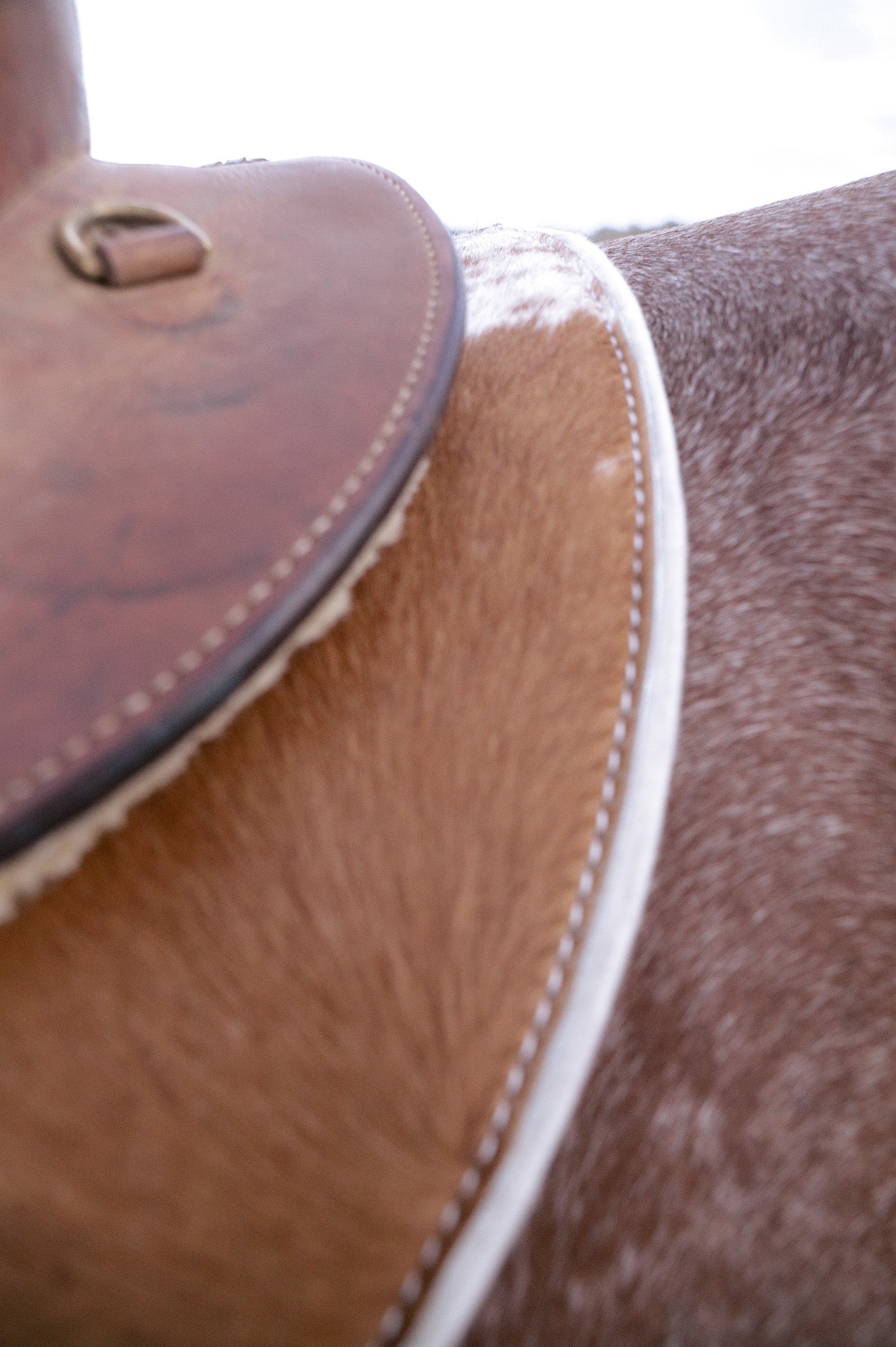 Hair on hide contoured spine, shaped fender pad - 13mm or 18mm felt - choice of hides and felt colour