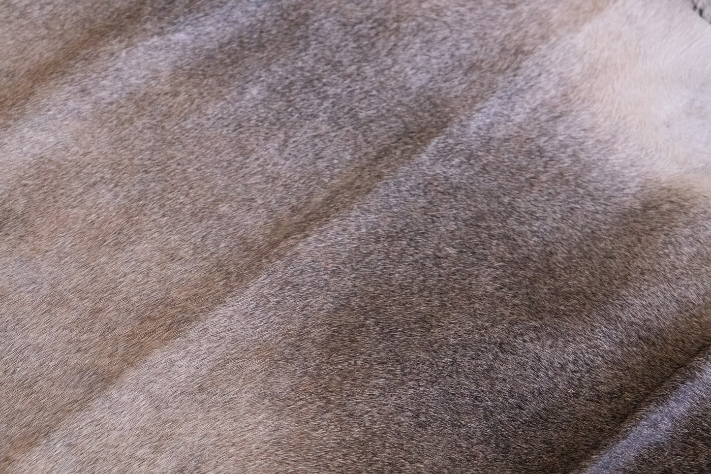 Hair on hide trim only version - 100% natural, wool felt - 13mm or 17mm felt - choice of hides and felt colour