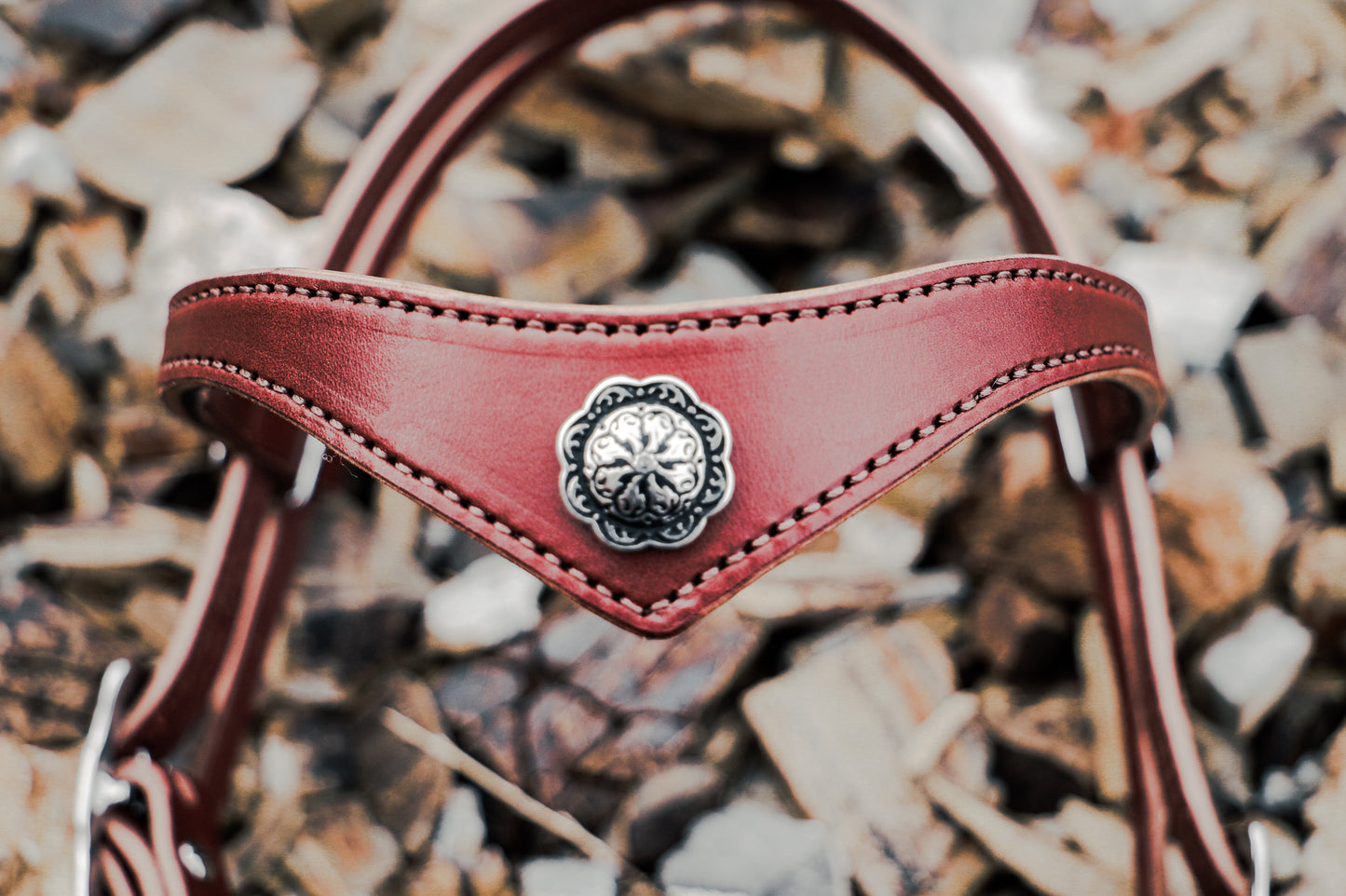 Hand made quick change leather bridle with Jeremiah Watt buckles