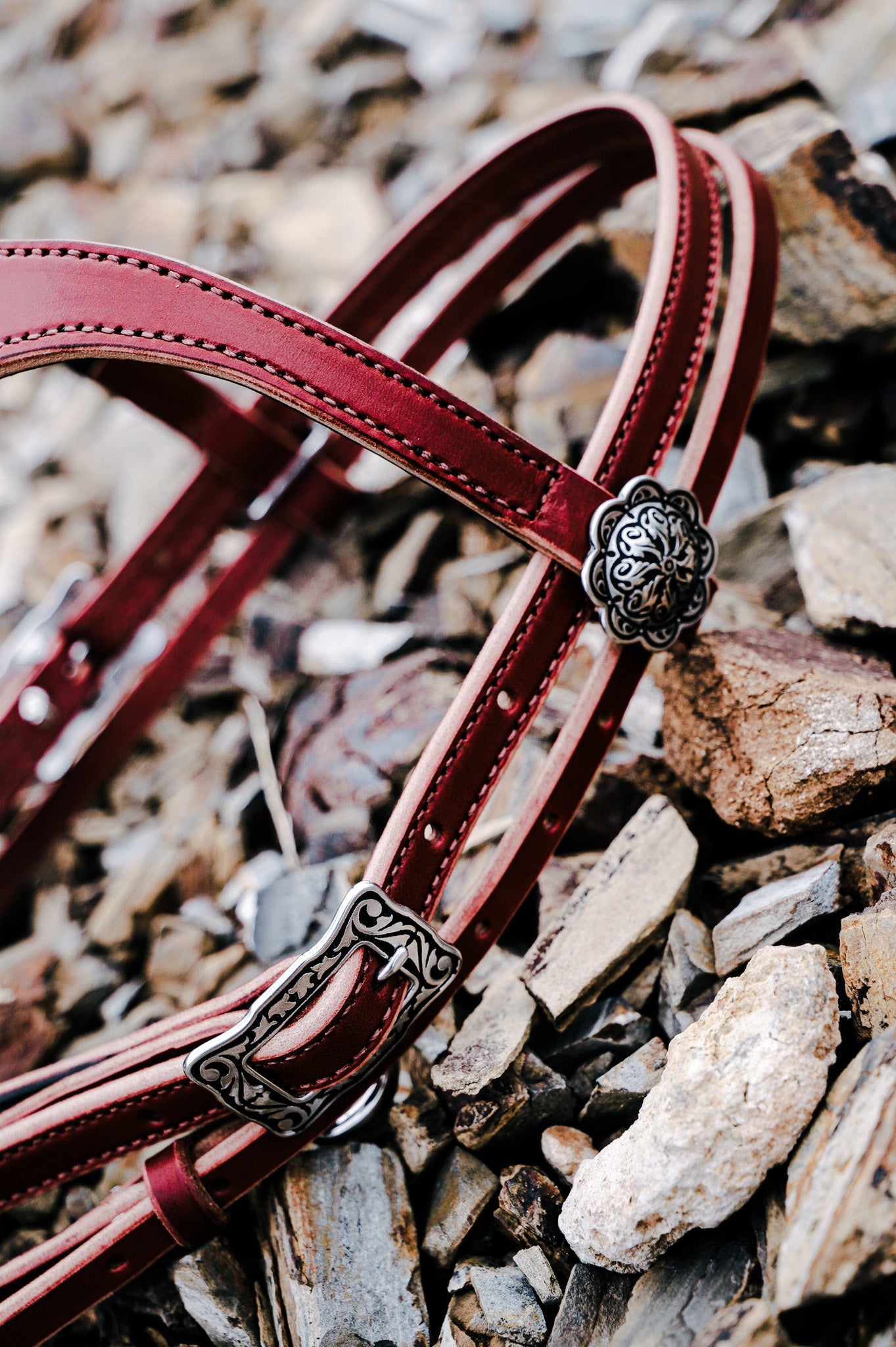 Hand made quick change leather bridle with Jeremiah Watt buckles