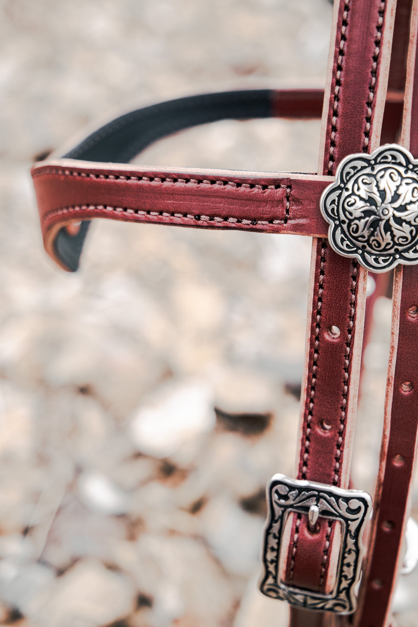 Hand made quick change leather bridle with Jeremiah Watt buckles