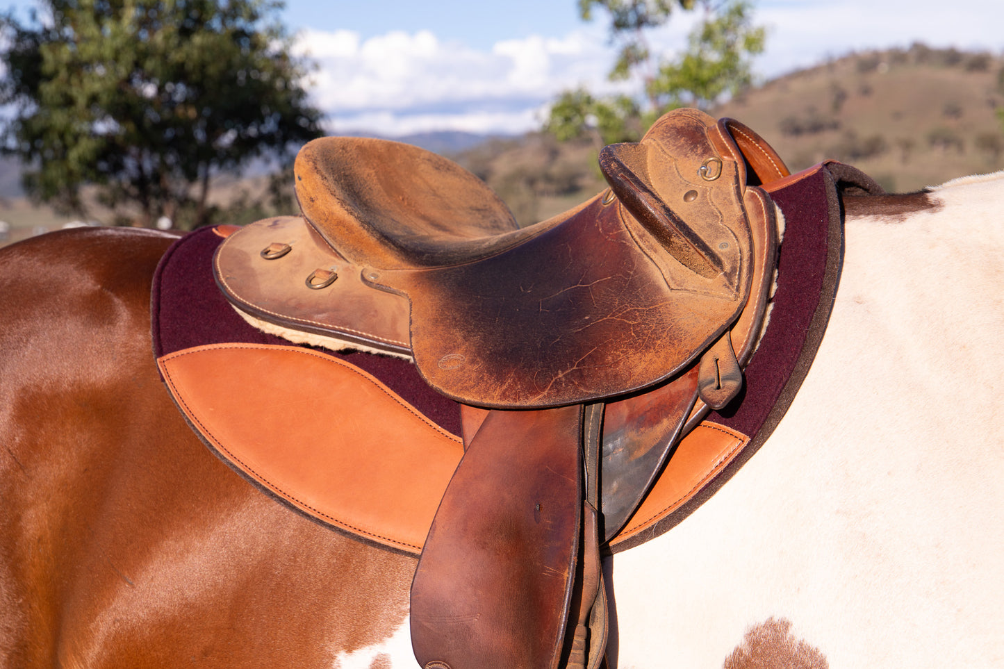 Kersey covered wool felt fender pad with contour spine and leather wears