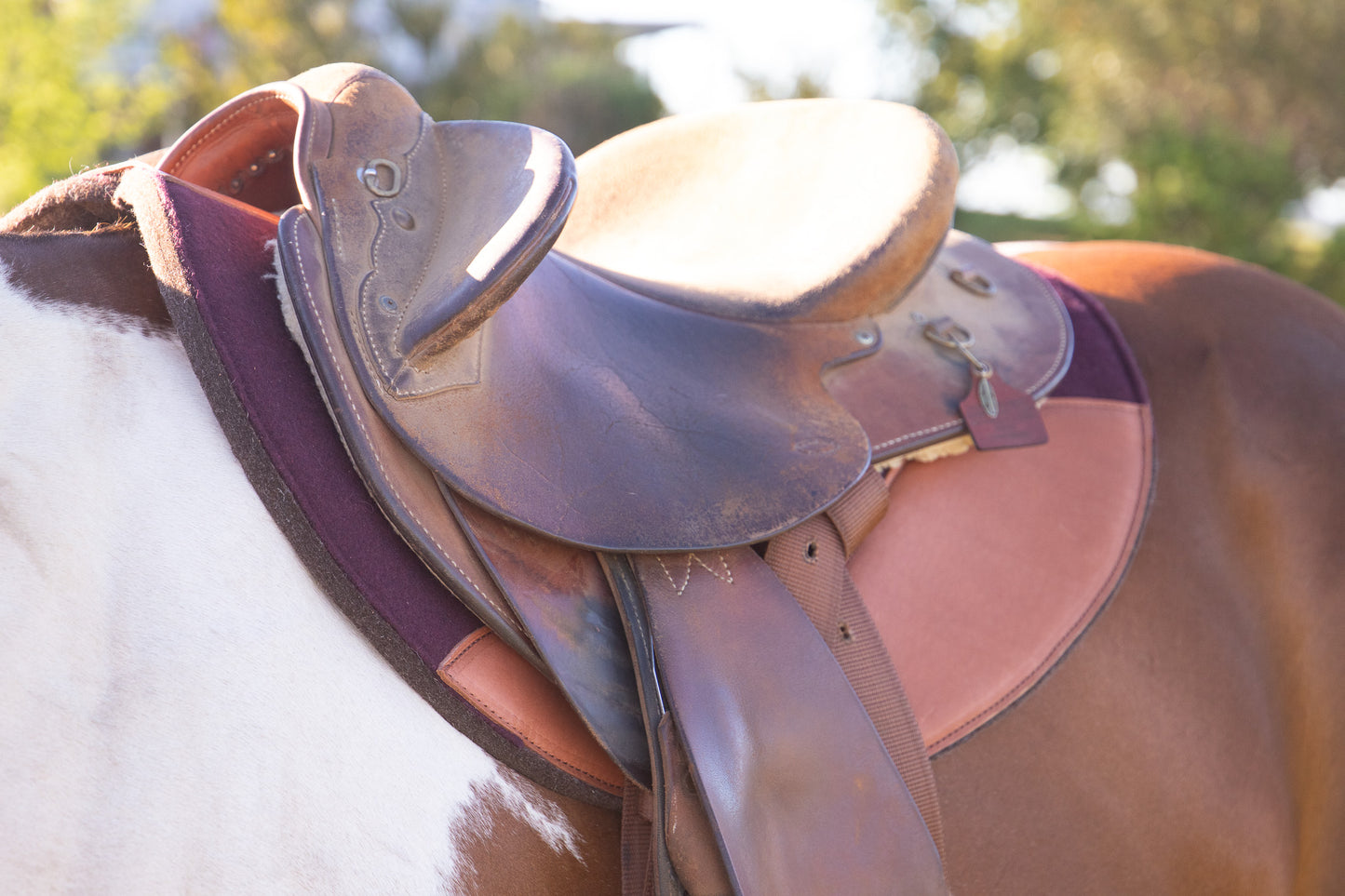 Kersey covered wool felt fender pad with contour spine and leather wears