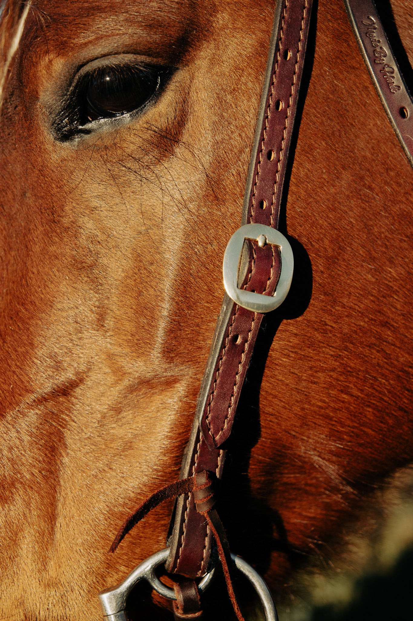 Work series handmade latigo leather bridle with bit ties