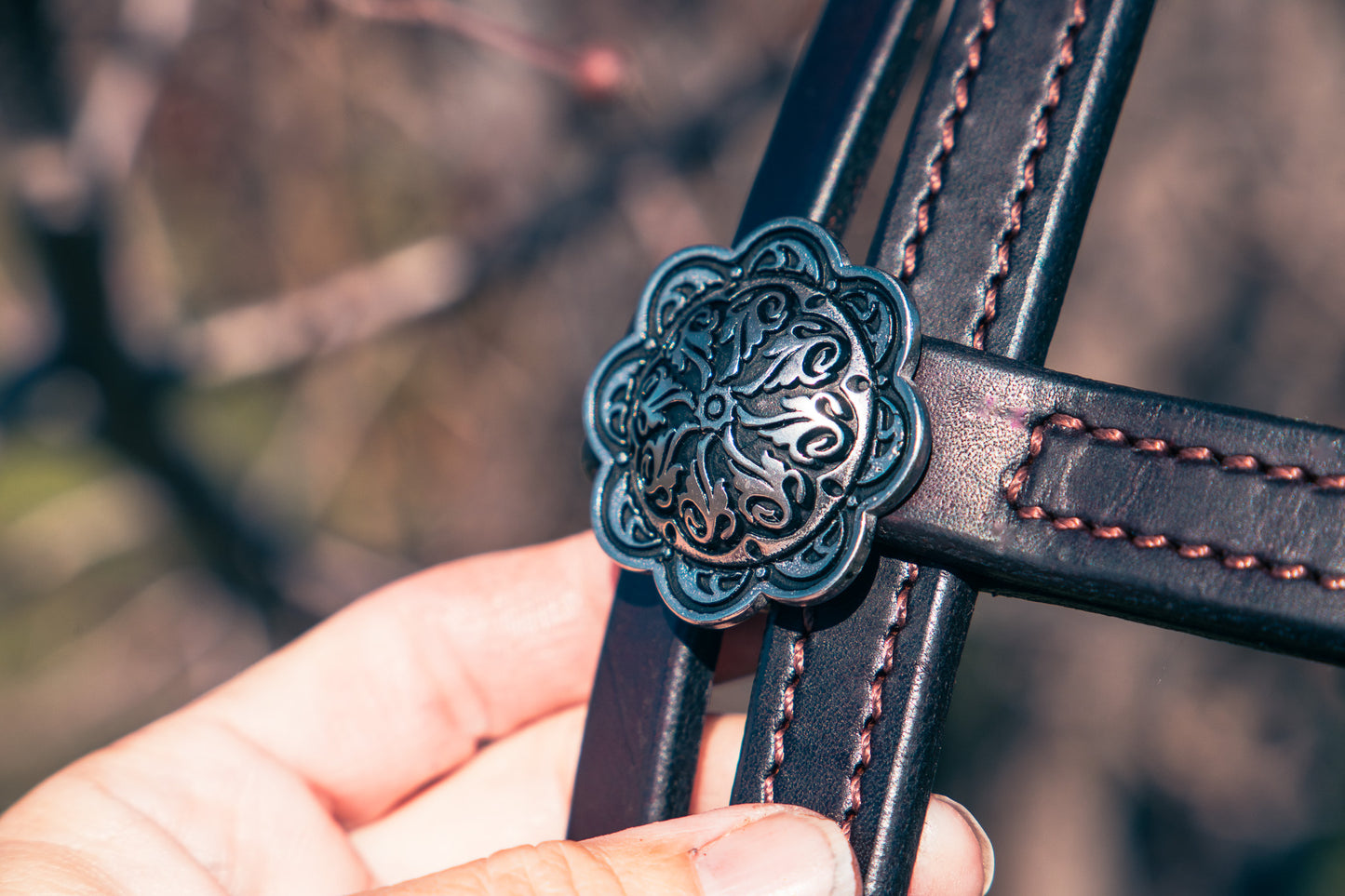 Handmade leather bridle with Jeremiah Watt buckles, quick change, and feature browband