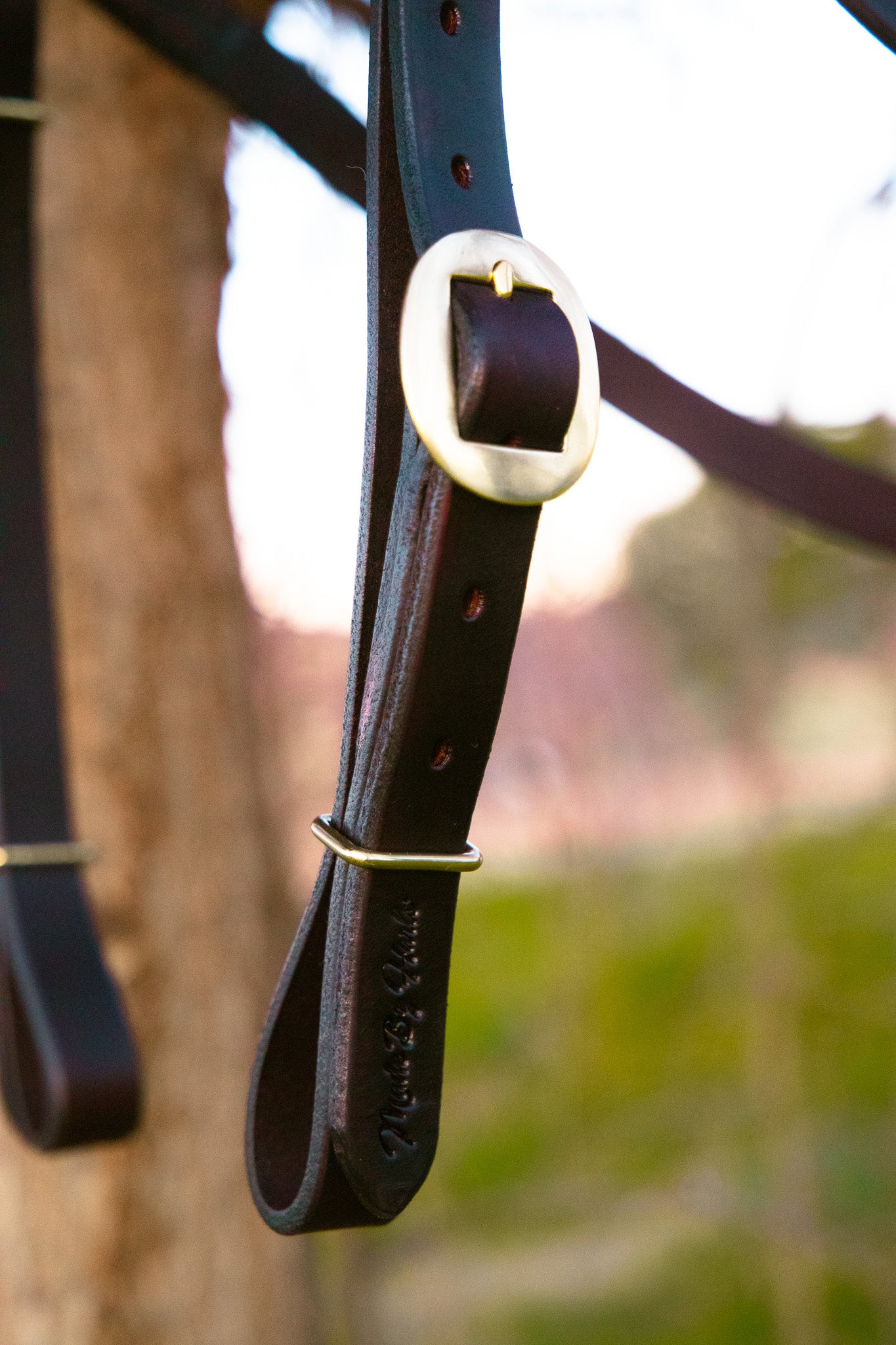 Handmade leather cob-full barcoo bridle with concho and buck stitch brow