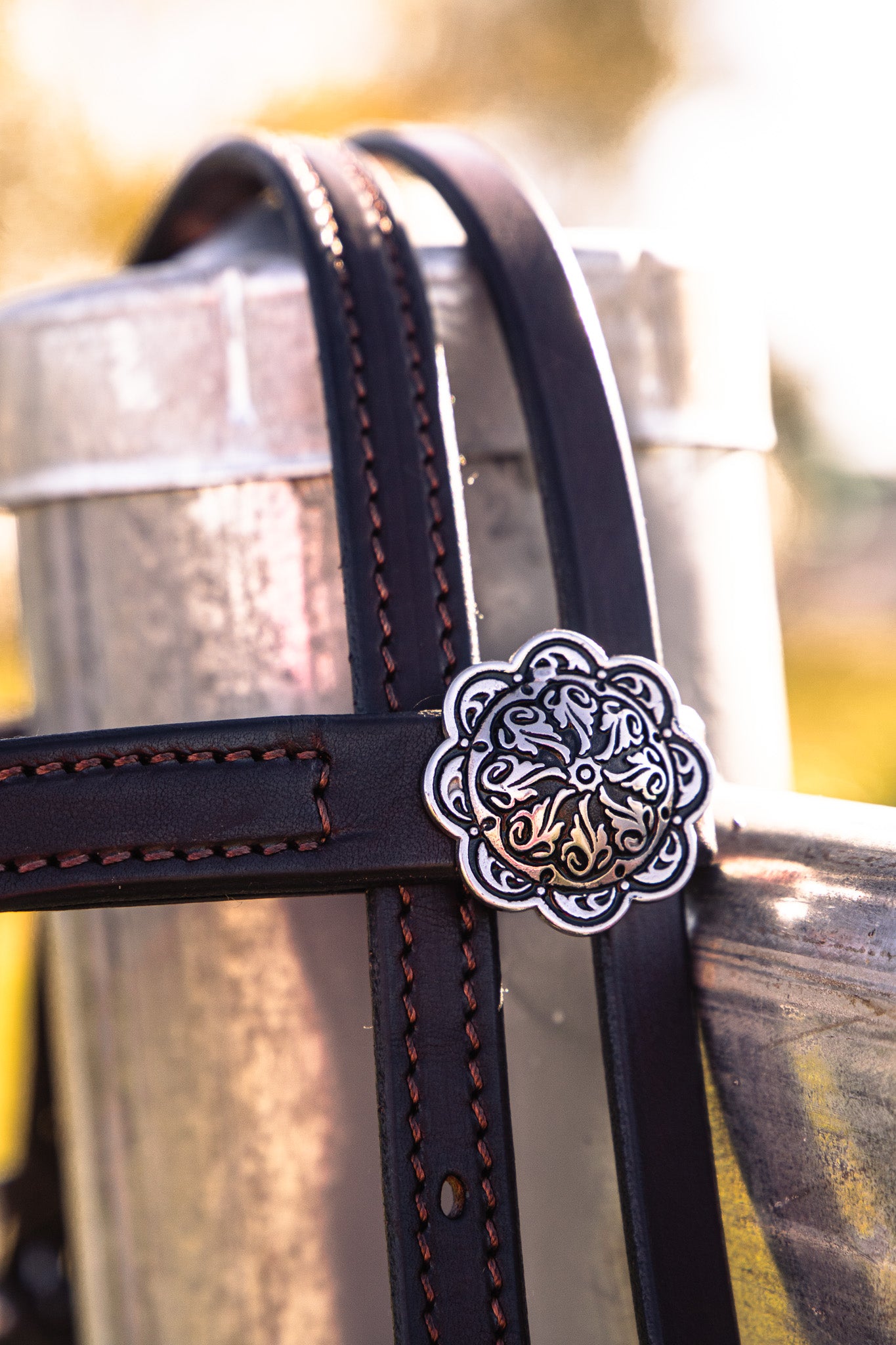 Hand made quick change leather bridle with Jeremiah Watt buckles