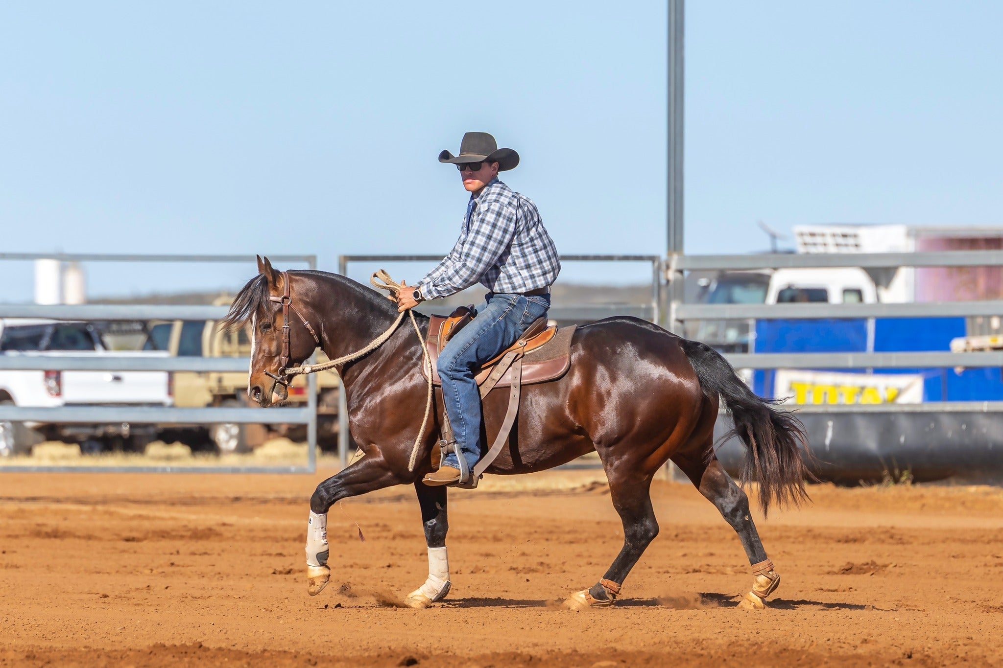 READY MADE SADDLE PADS
