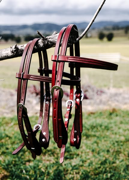 Bridles, reins, slobber straps and poppers