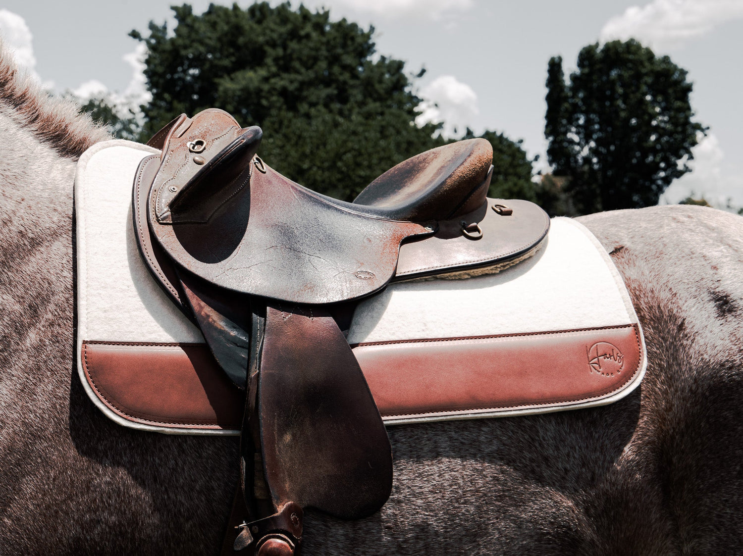 Wither relief saddle pads