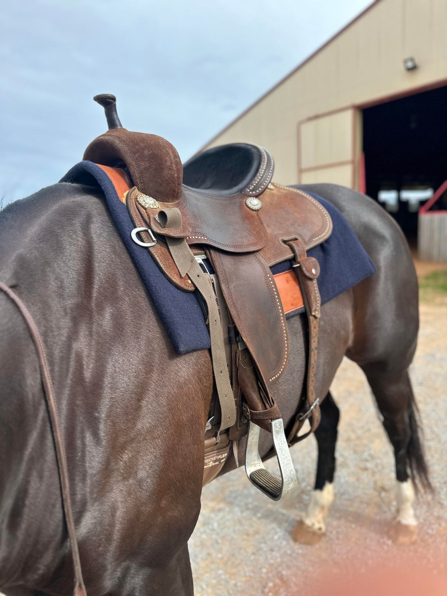 'THE CAMPDRAFTER - THICK' - Handmade saddle pad in your choice of colour - compresses to 18-19mm thick approx