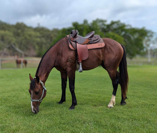 CHOCOLATE MARLE WOOL FELT SADDLE PAD : 13mm : STRAIGHT SPINE WITH CLOVER CUTOUTS