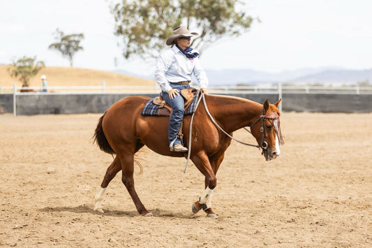 'THE CAMPDRAFTER CLOSE CONTACT' - Handmade saddle pad in your choice of colour - 12mm thick approx