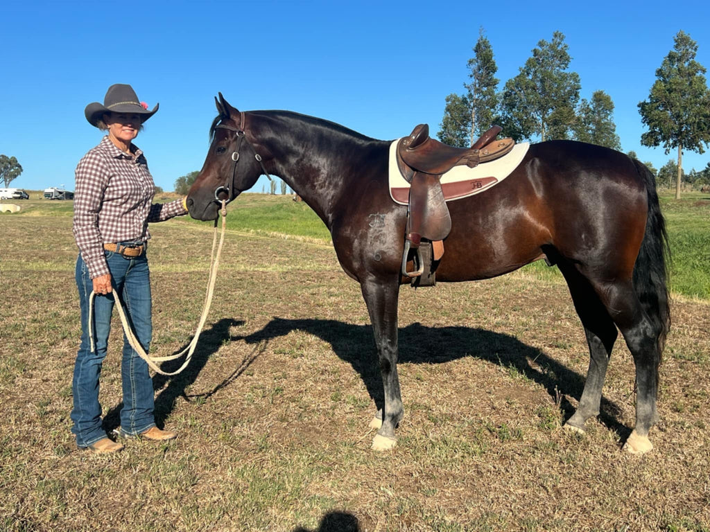 Split wither (cut back) shaped fender