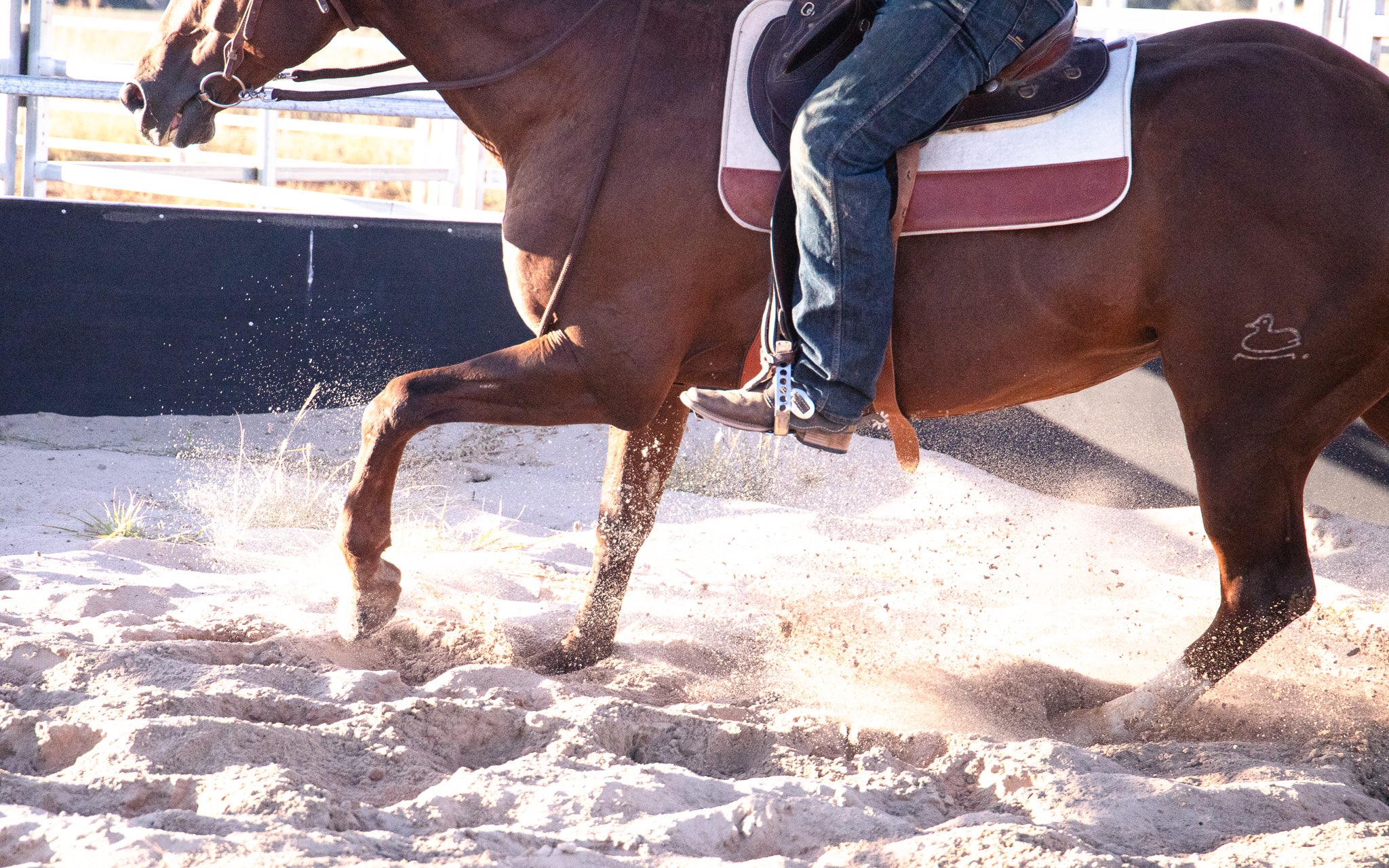 Split wither (cut back) square pad