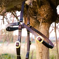 Barcoo bridle