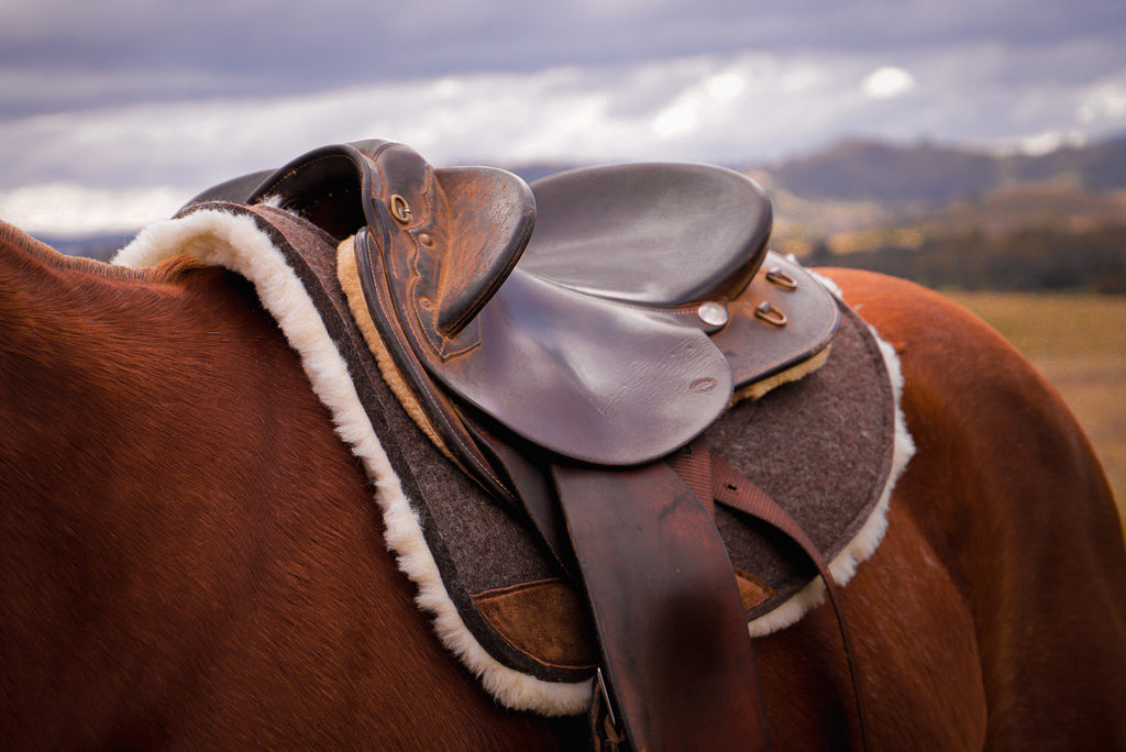 Premium Wool Underlay