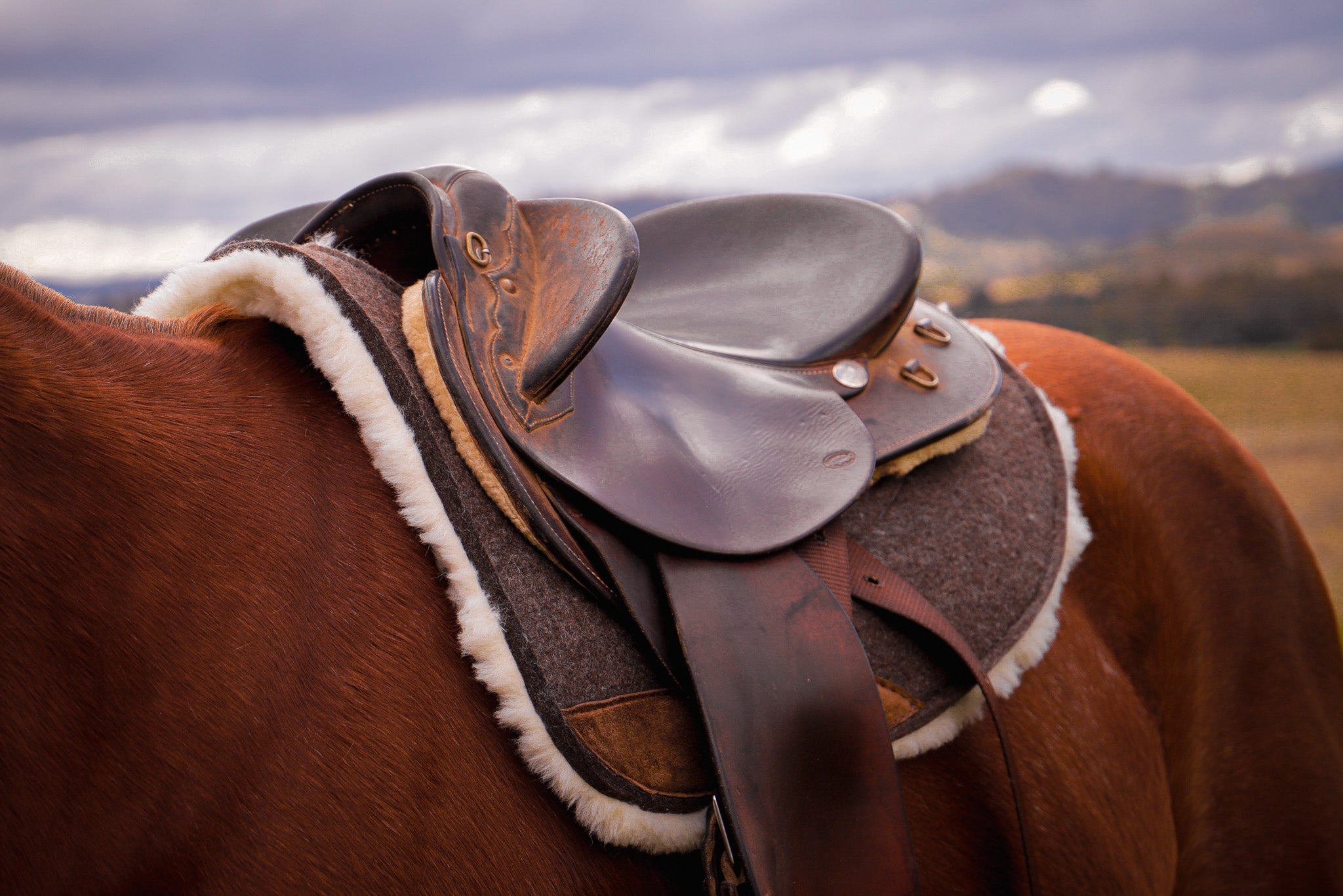 Premium Wool Underlay