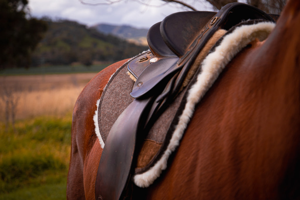 Premium Wool Underlay