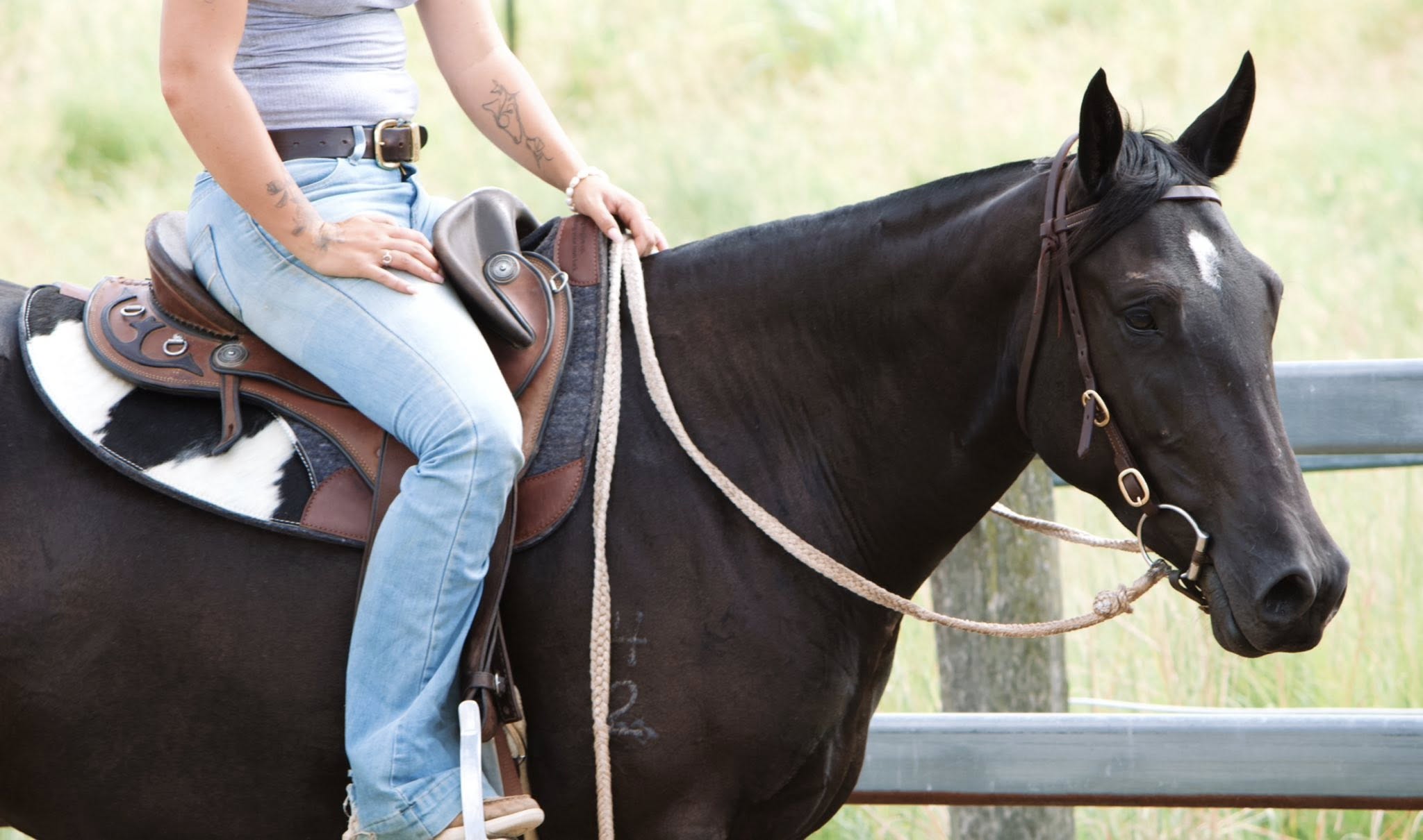 Half hide wither cut out