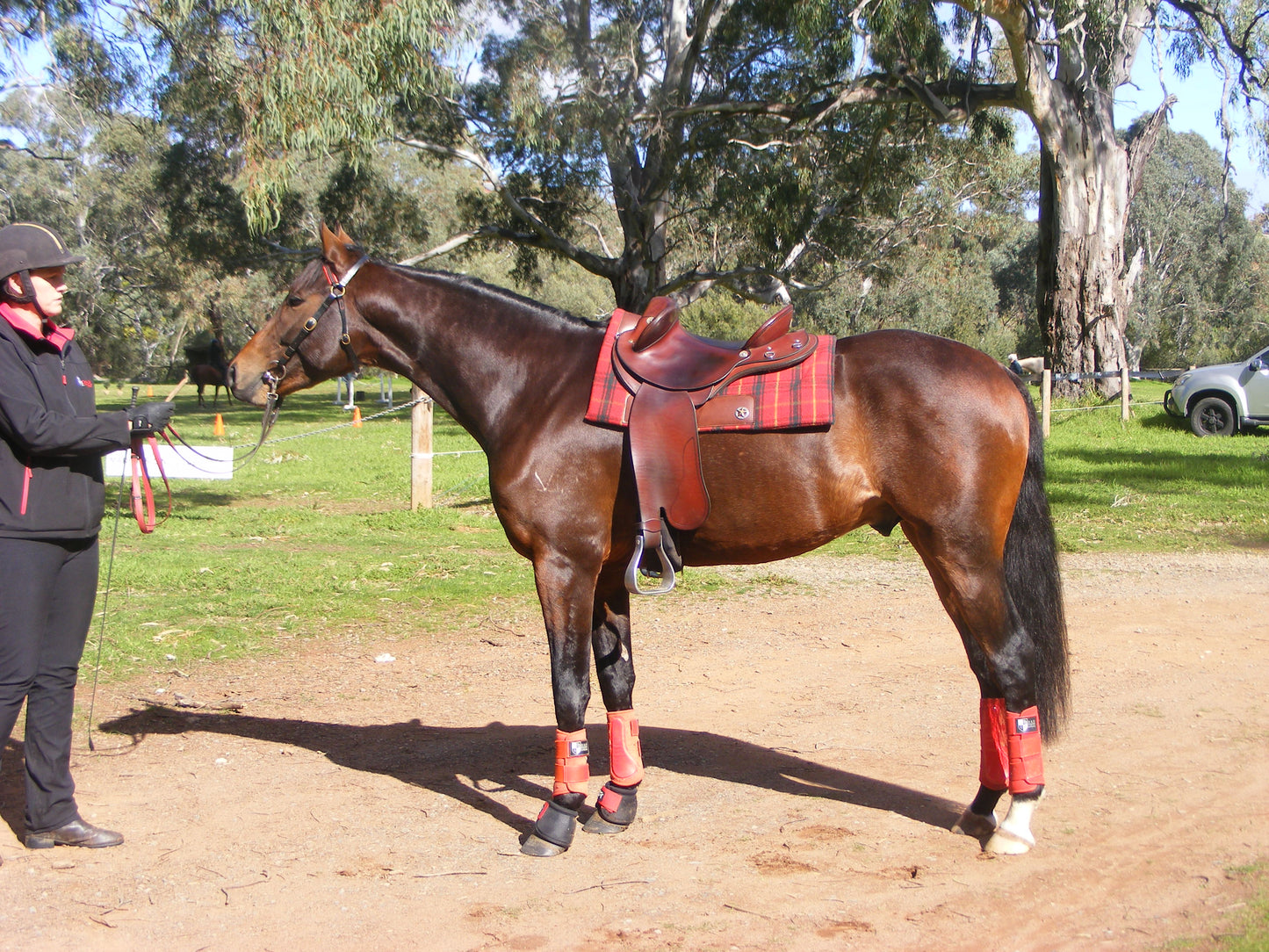 'THE CAMPDRAFTER - THICK' - Handmade saddle pad in your choice of colour - compresses to 18-19mm thick approx