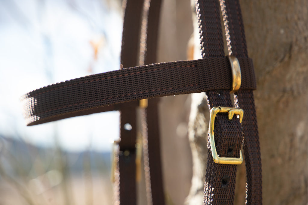 Quick Change Webbing Work Bridle and bit hobbles