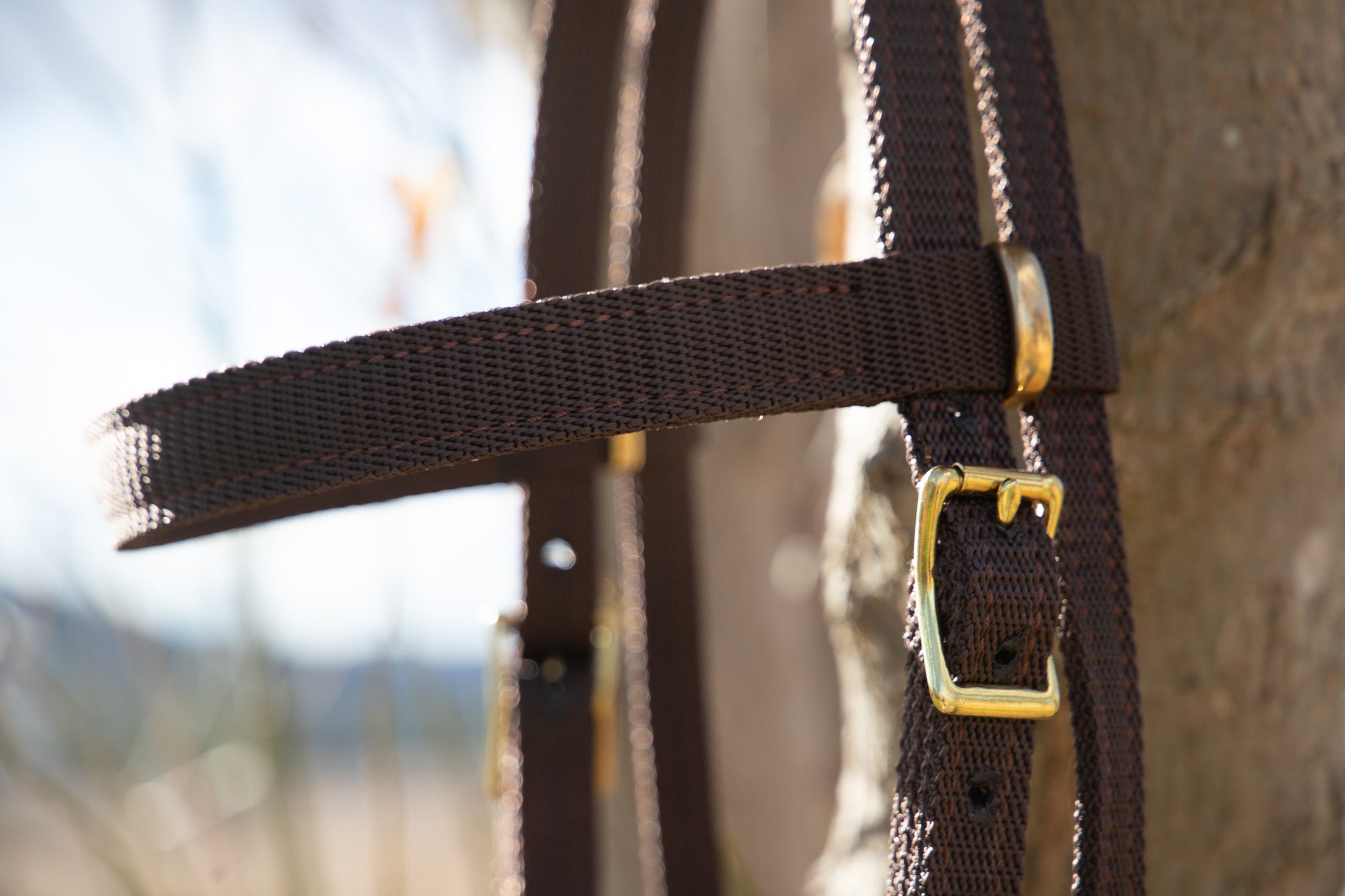 Quick Change Webbing Work Bridle and bit hobbles