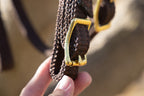Quick Change Webbing Work Bridle and bit hobbles