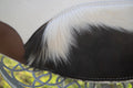 Hair on hide cutout pad - black/white hide