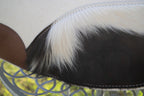 Hair on hide cutout pad - black/white hide
