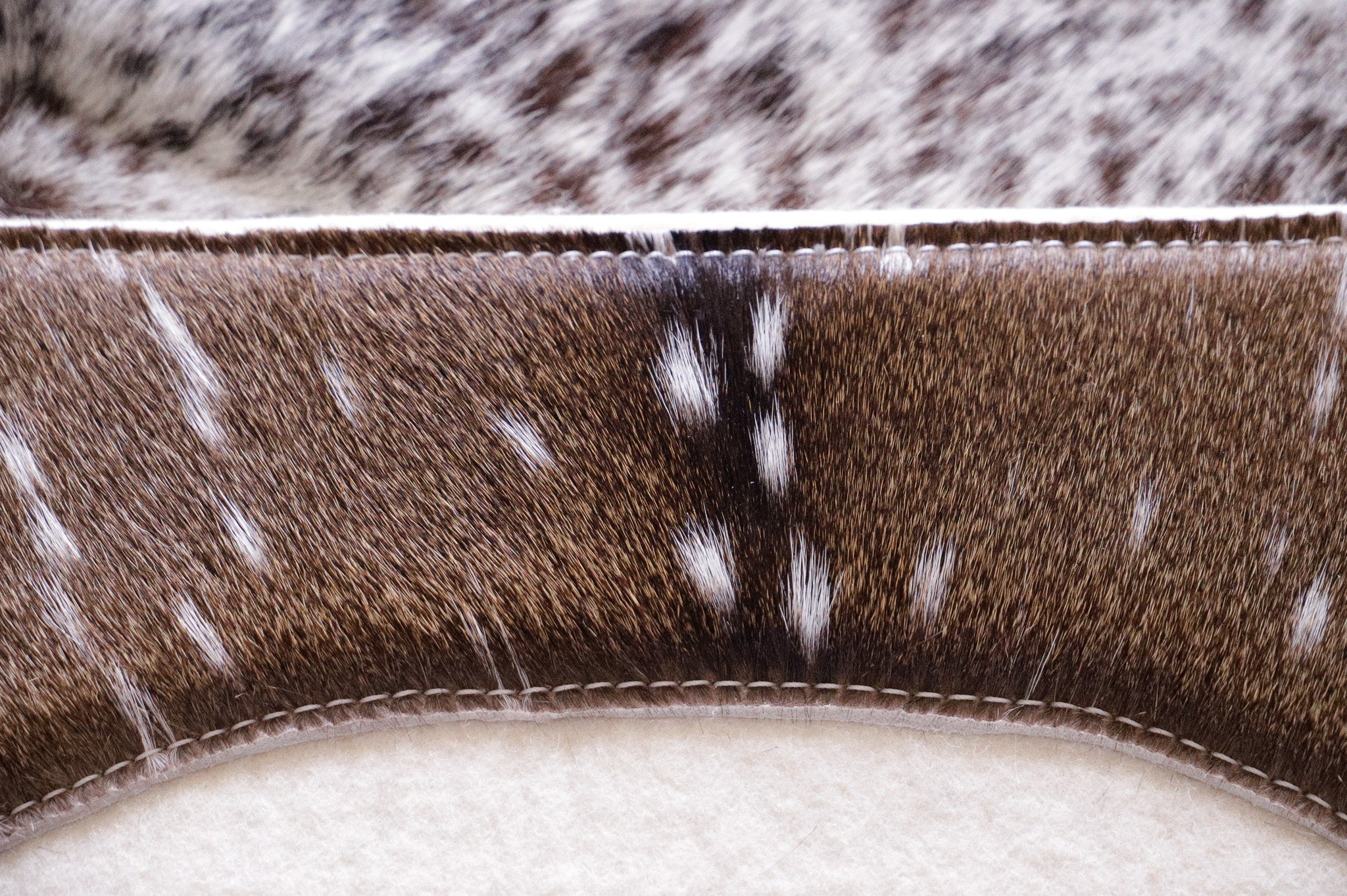 Exotic Hide Pre-Order Saddle pads