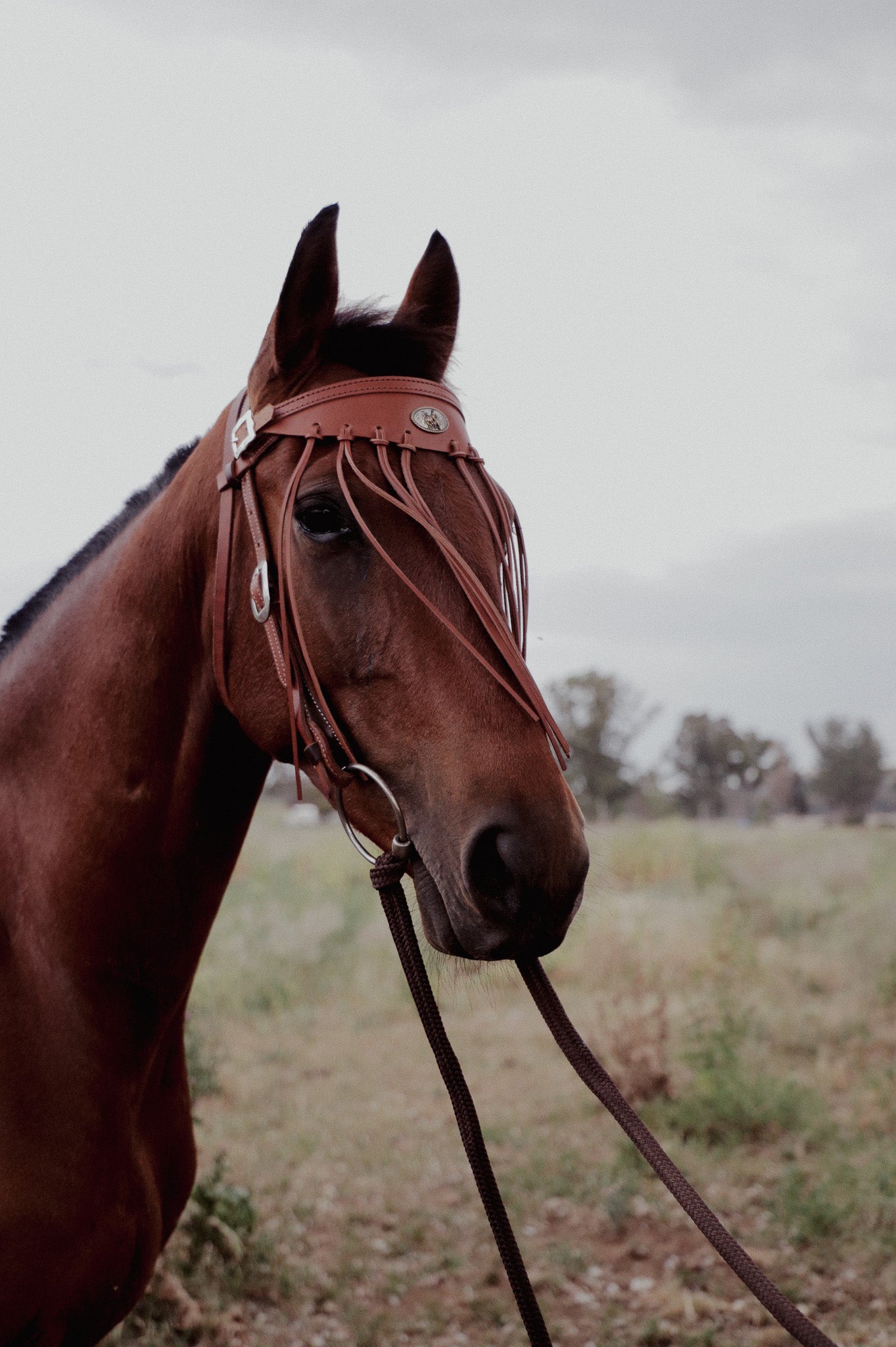 Leather fly veils