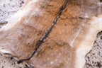 Exotic Hide Pre-Order Saddle pads