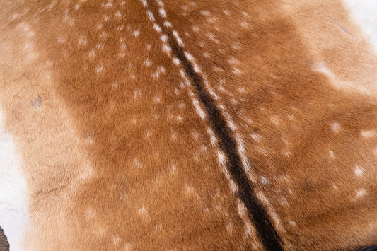 Deer - hair on hide saddle pad - 13mm felt (cream, grey or chocolate marle)