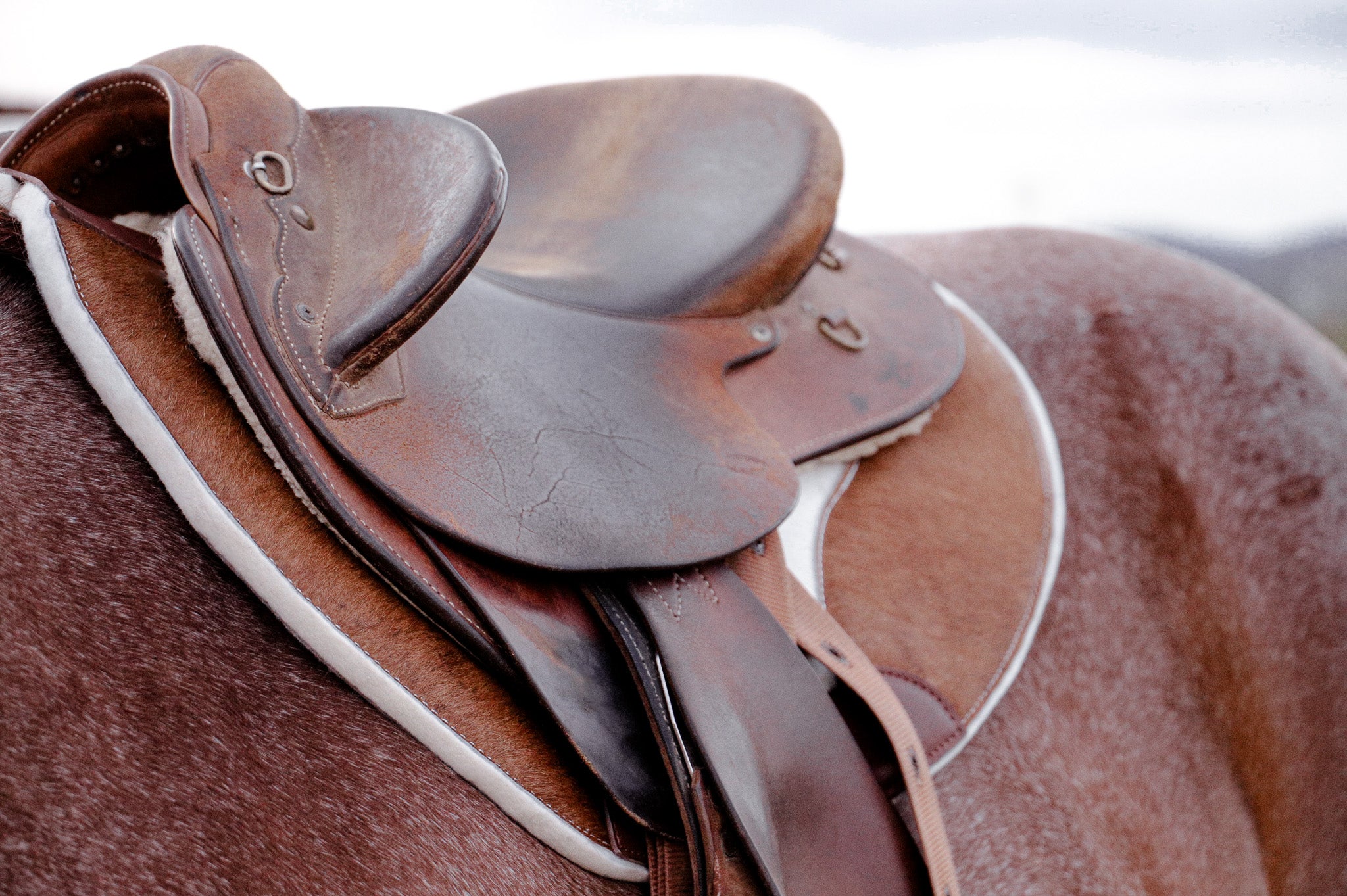 Hair on hide contoured spine fender