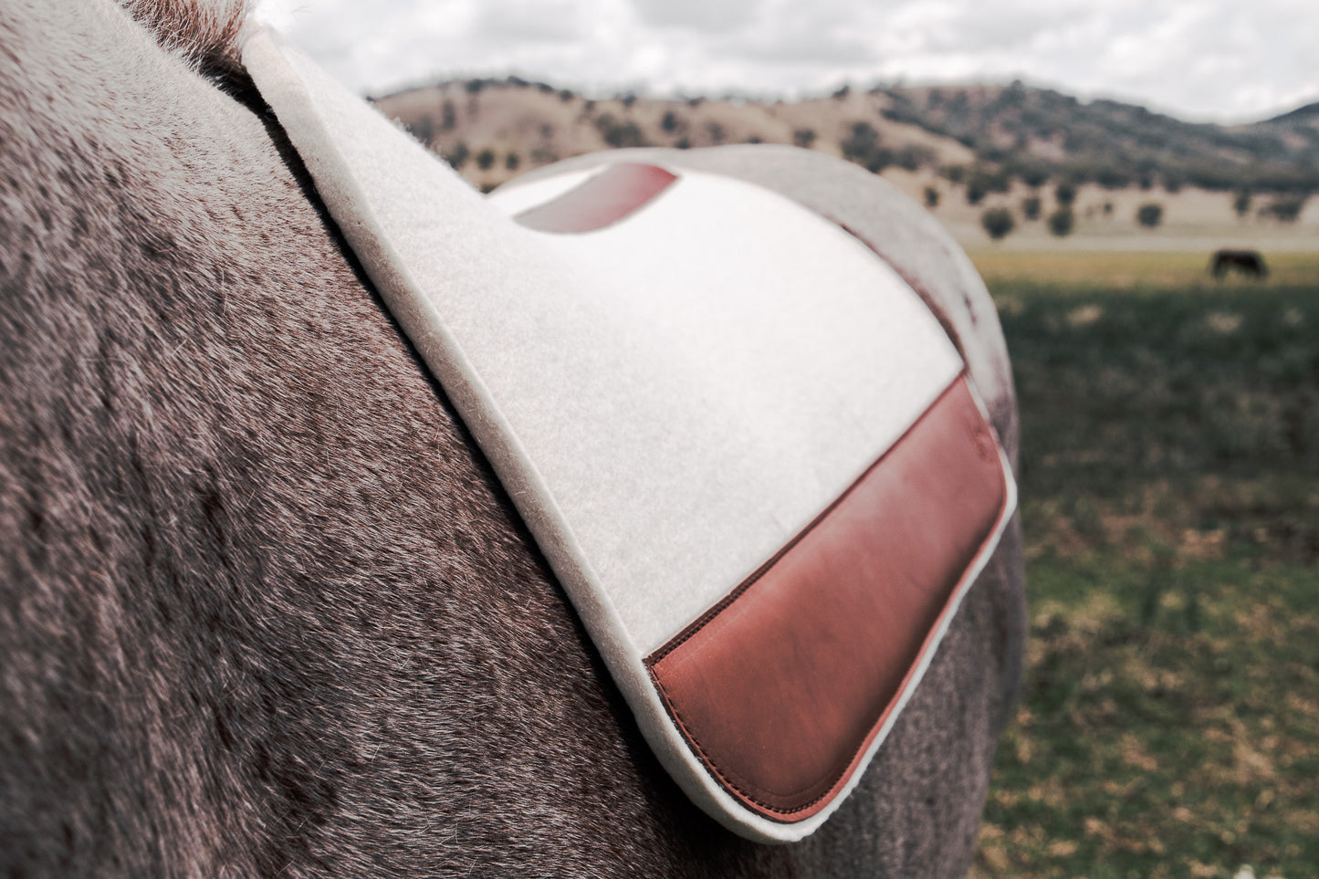 WOOL FELT SADDLE PAD : 17mm : CUTBACK WITHER, CONTOURED SPINE AND PERSONALISED