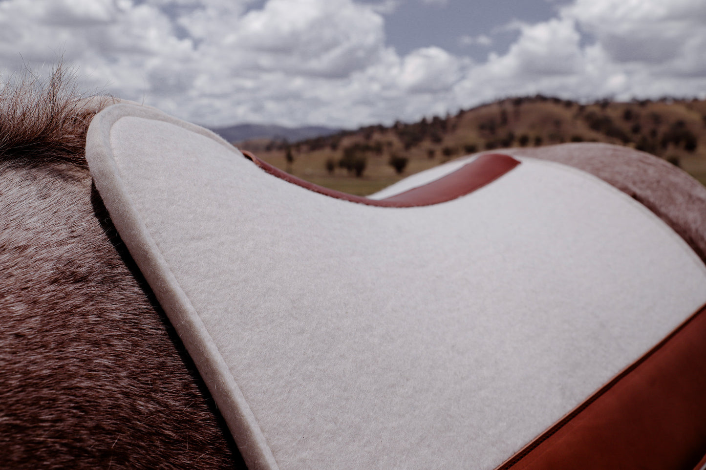 WOOL FELT SADDLE PAD : 17mm : CUTBACK WITHER, CONTOURED SPINE AND PERSONALISED