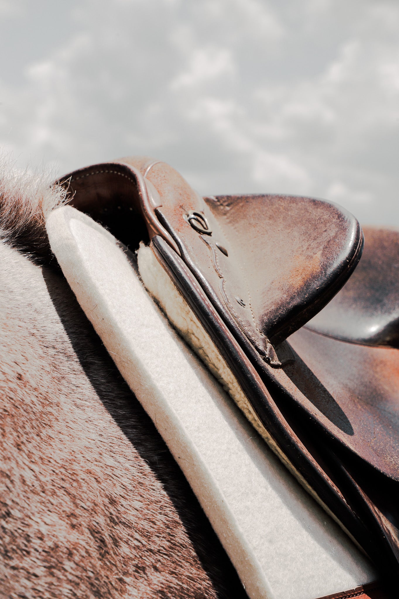 WOOL FELT SADDLE PAD : 17mm : CUTBACK WITHER, CONTOURED SPINE AND PERSONALISED