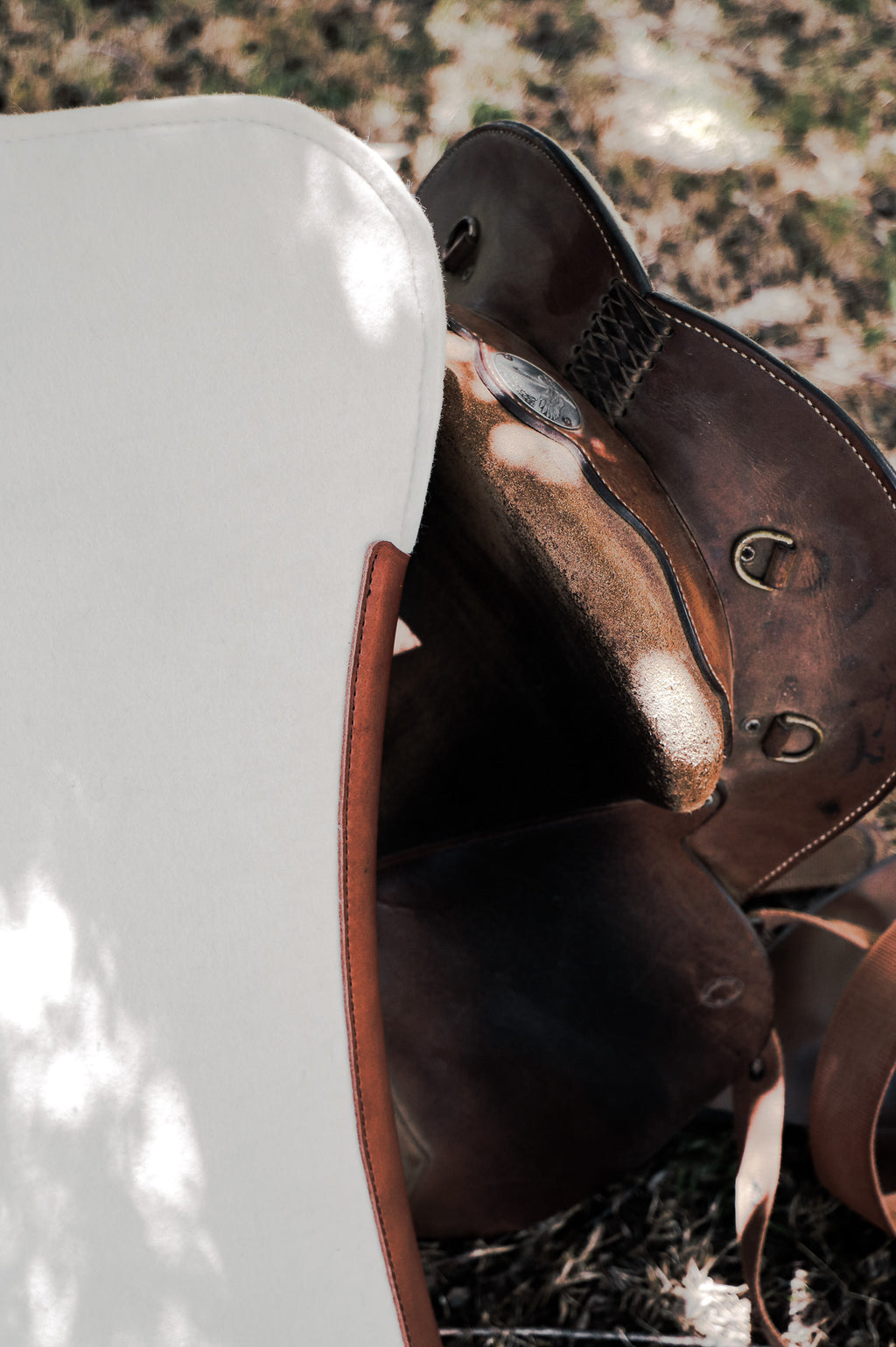 Split wither (cut back) square pad