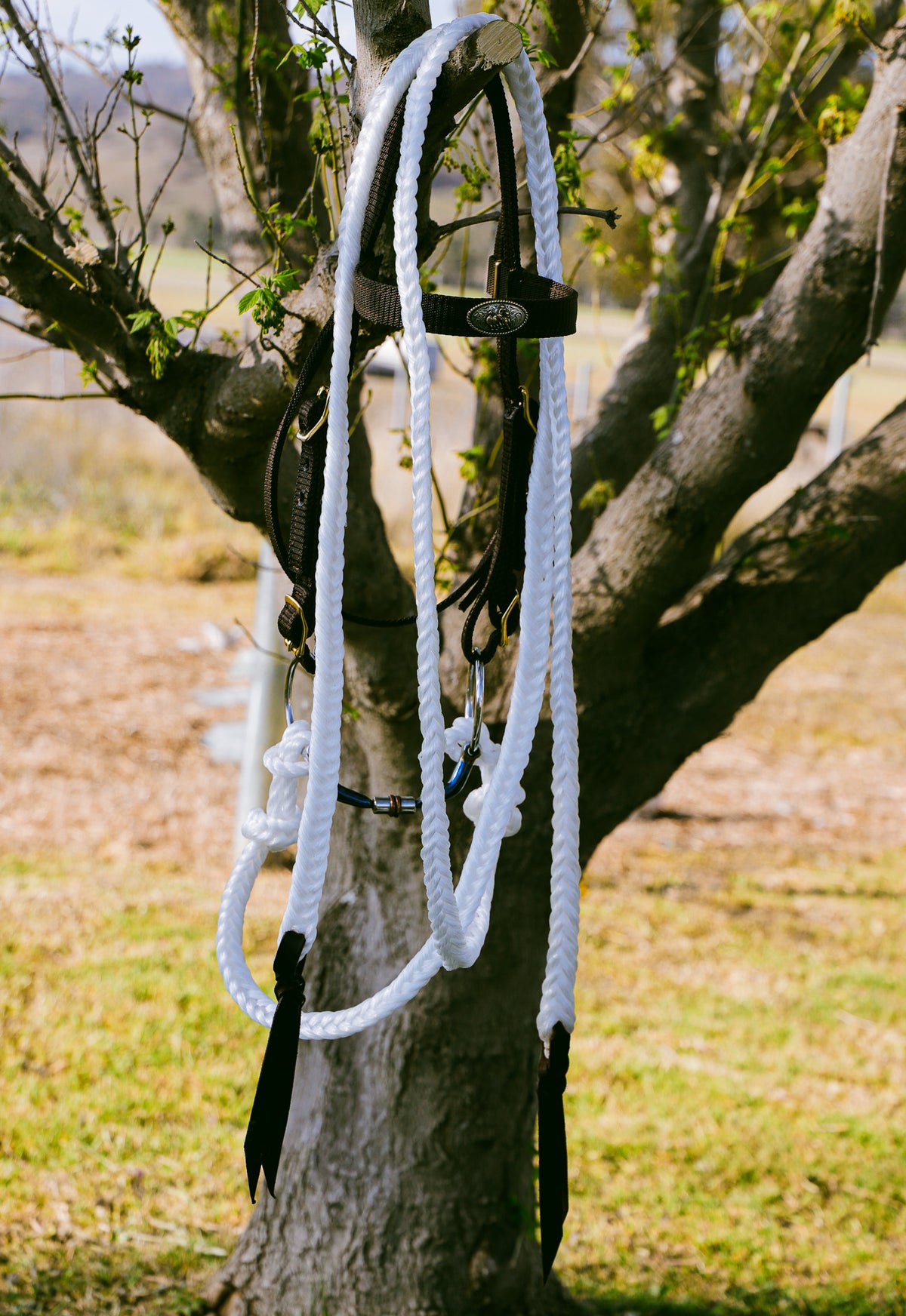 6 strand plaited rope reins