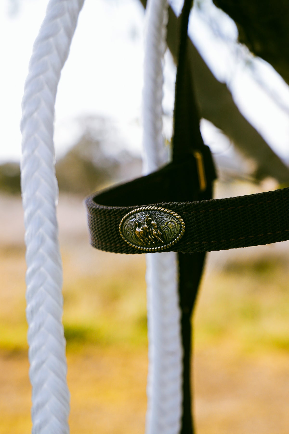6 strand plaited rope reins