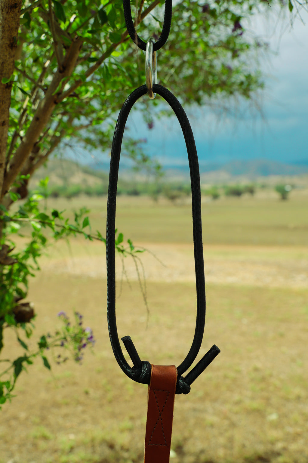 Bungee head set training tool