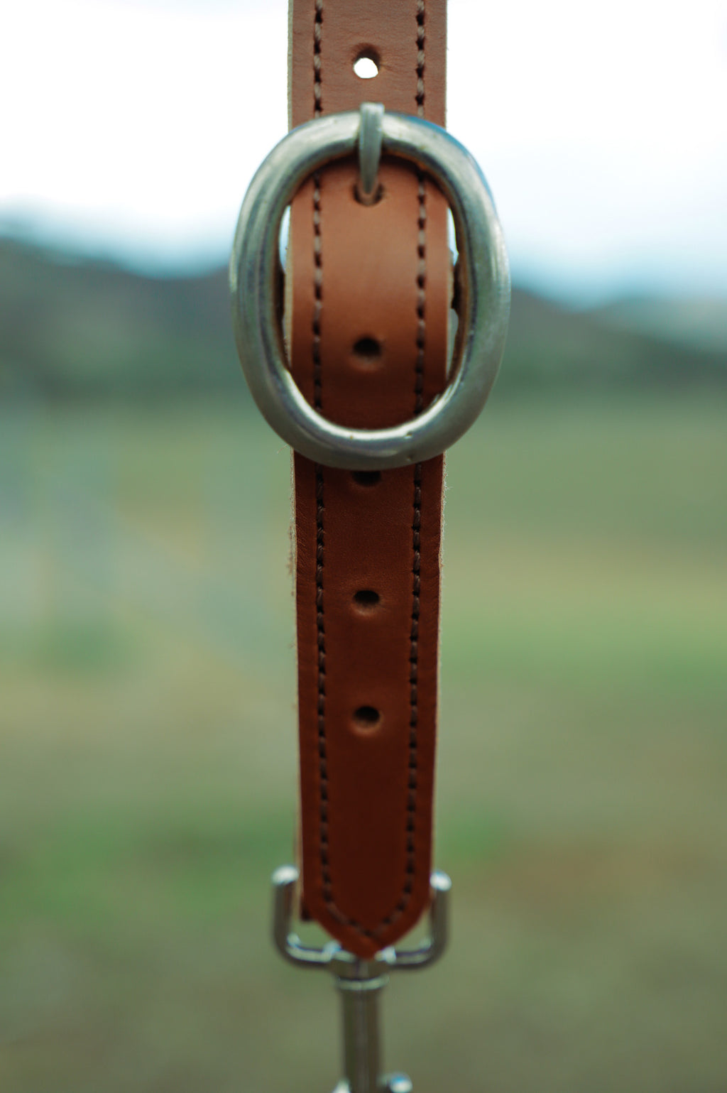 Bungee head set training tool