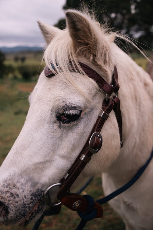 Handmade leather pony bridle with inlay browband (choice of hide, fancy webbing, floral embossed or coloured leathers)